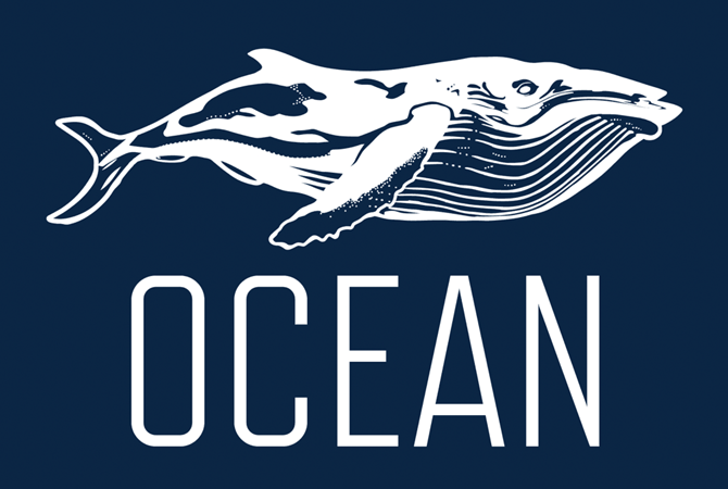 Ocean Film Festival World Tour 2026
