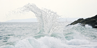 Sea and Shore Cornwall: Common and Curious Findings