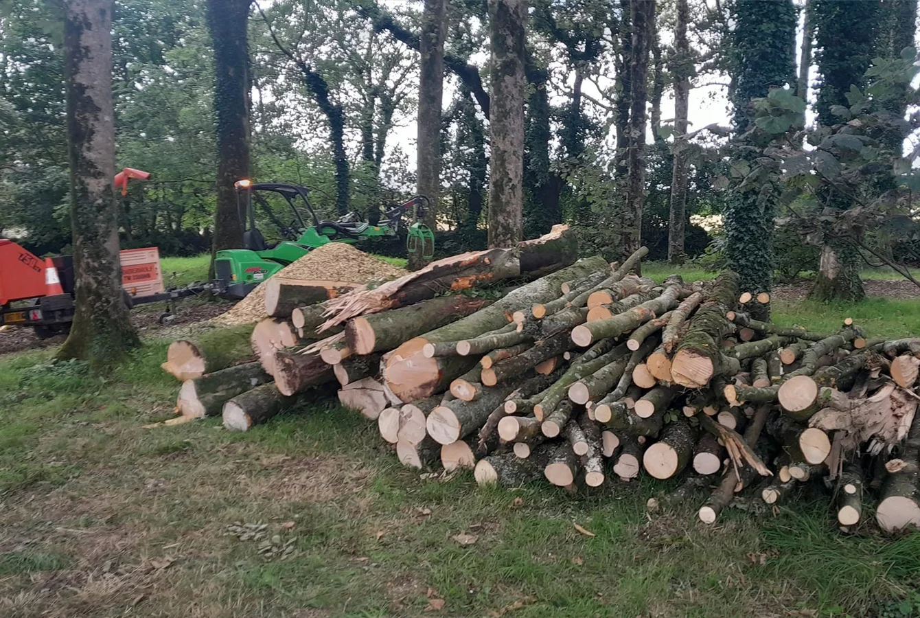 Tree surgery work by Arborcare in North Cornwall