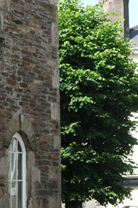 Camelford Town Centre