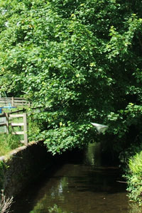 The river in Camelford