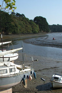 Boats on Truro River