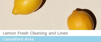 Lemon Fresh Cleaning and Linen