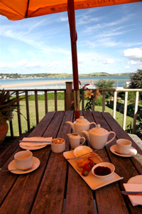 Views of the Camel Estuary