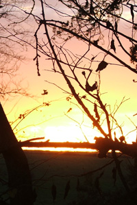 Wintery Sunset at St. Breock