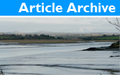 Article Archive