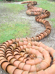 Pot Snake