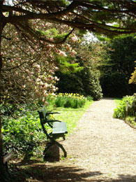 Trewidden Gardens during the spring