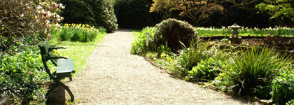 Trewidden Gardens during the spring