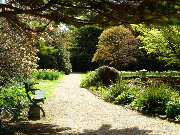 Trewidden Gardens during the spring