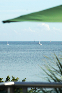 Flying Fish Restaurant 