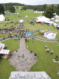 View from the roof of the house