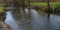 River Camel at Nanstallon