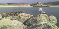 Scilly Webcam