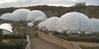 Eden Web Cam