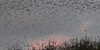 Wintery Sunset at St. Breock